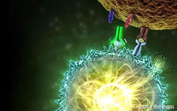 pd1抗体价格,pd-1抗体多少钱一支