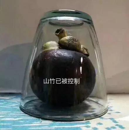 台风山竹的名字会被除名吗,山竹台风被除名