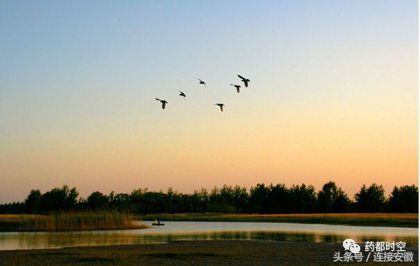 亳州市十八岁的照片,安徽亳州地级市排行