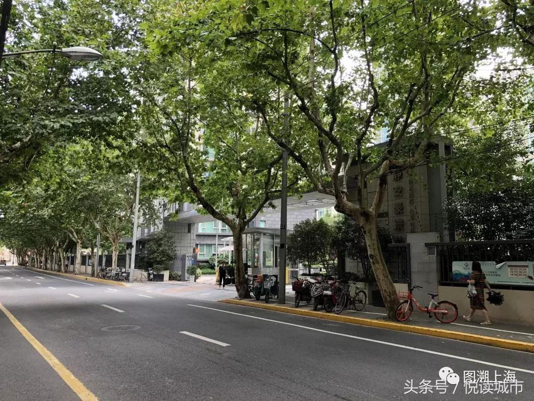 探寻上海古色古香的历史文化街区,悦读上海