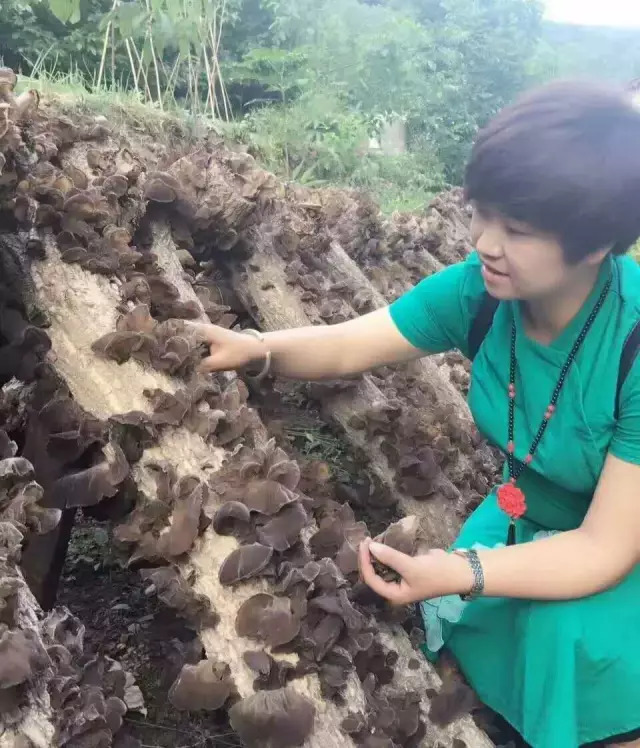 特色产业助力农民走上脱贫致富路,贫困户创业带领乡亲致富