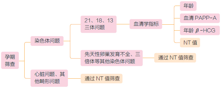 孕早期nt检查胎儿不动怎么才能动,孕早期先做nt还是先建档检查