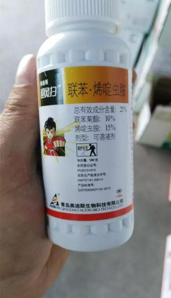 凉风至白露降寒蝉鸣下一句,夏天多肉小白虫消灭方法