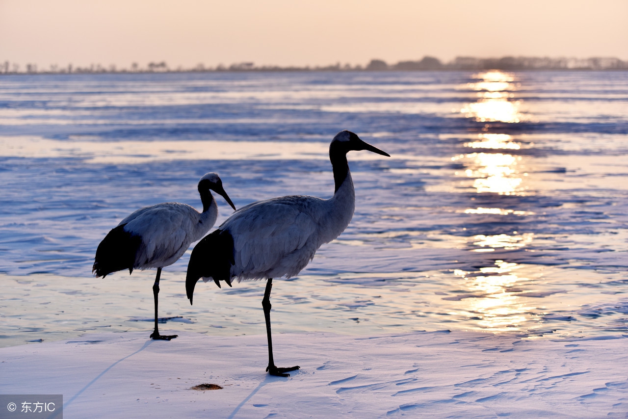 歇后语大全六年级全册,歇后语作文必背100个