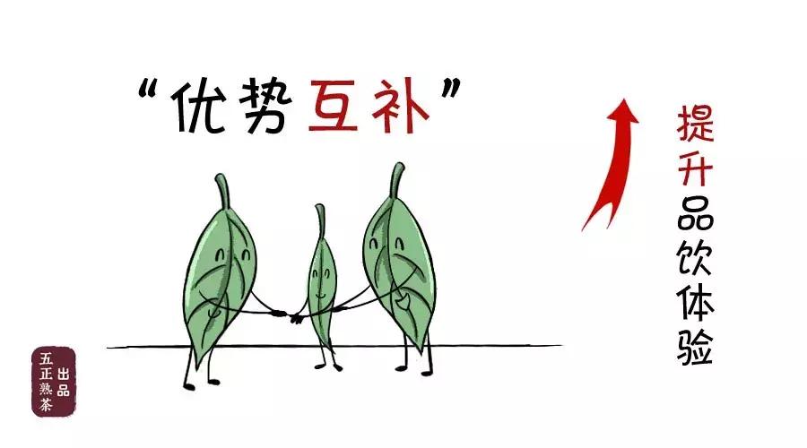 普洱拼配的过程,普洱茶拼配工艺流程图