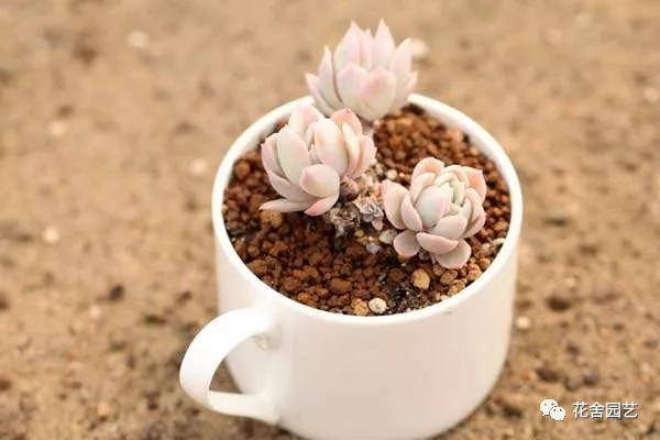 废弃石渣的利用,煤炭炉渣变废为宝