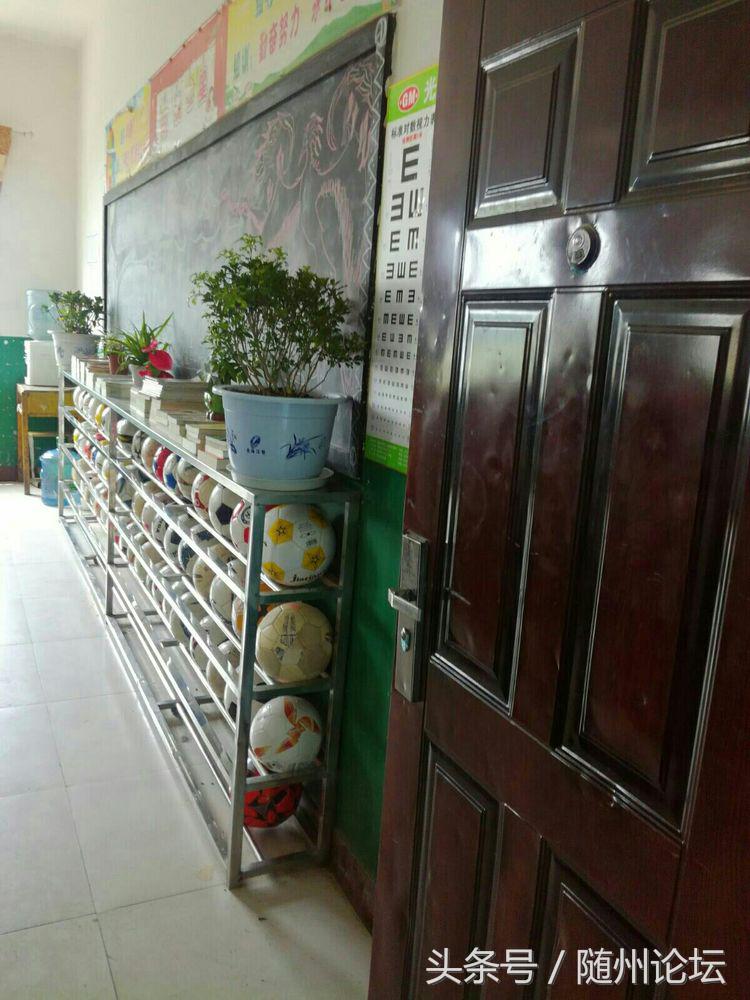 生态教育促成长浓墨重彩绘华章——记阔步前进中的洪山镇中心学校