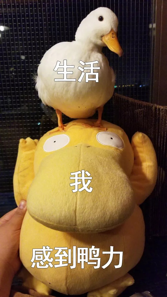 璐┓鐨勬湰璐ㄦ憳鎶勫強璧忔瀽,璐┓鐨勬湰璐ㄧ粡鍏歌褰曟憳鎶勫強璧忔瀽