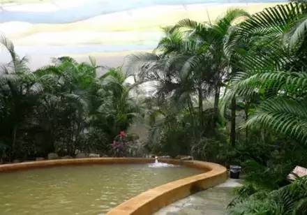 山东温泉必打卡,山东十大温泉