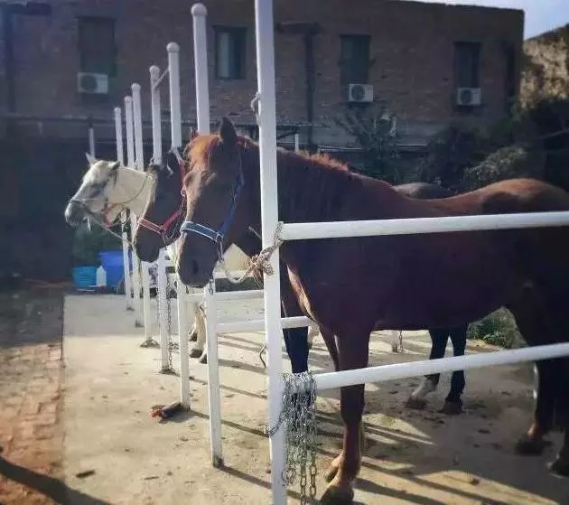 中秋节西安适合情侣住的民宿,西安旅游民宿推荐便宜三天两晚