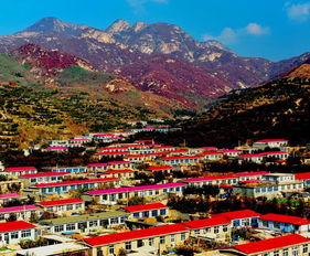 休闲农业经营思路,如何经营现代农业园区