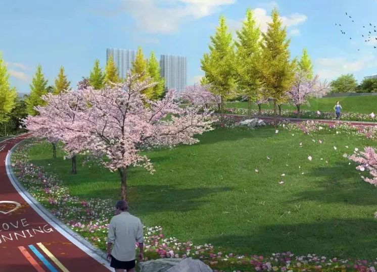 南京发布最新放假通知 (南京官方最新通知放假)