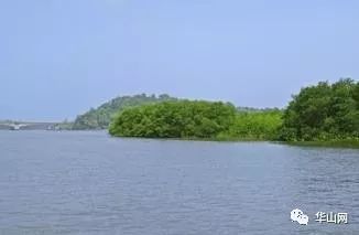 「每日微报」注意！朝阳公园投放鼠药请看管好小孩