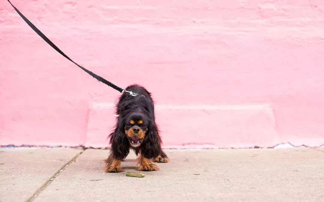 宇宙中最大数字单位你了解多少,宇宙的数字从最大到最小排名