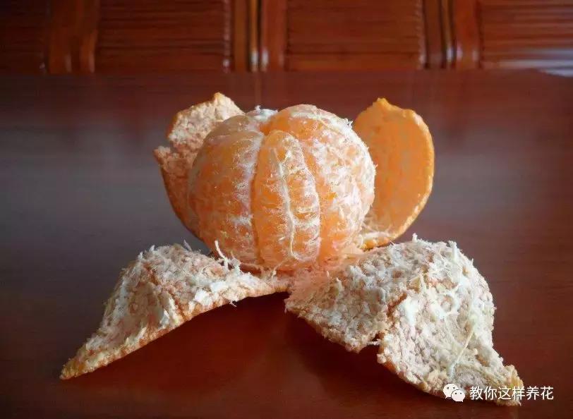 橘子皮养花妙用,橘子皮丢鱼缸有什么好处吗