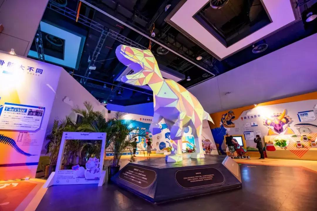 2018cae上海展,2018caac猫展冠军