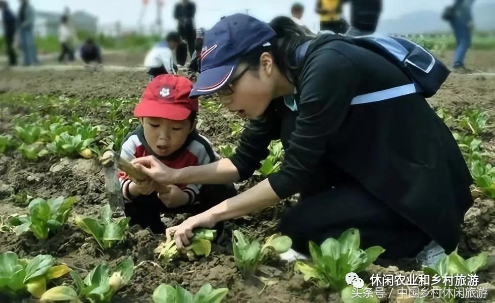 农业体验活动创意项目,休闲农业体验活动评估