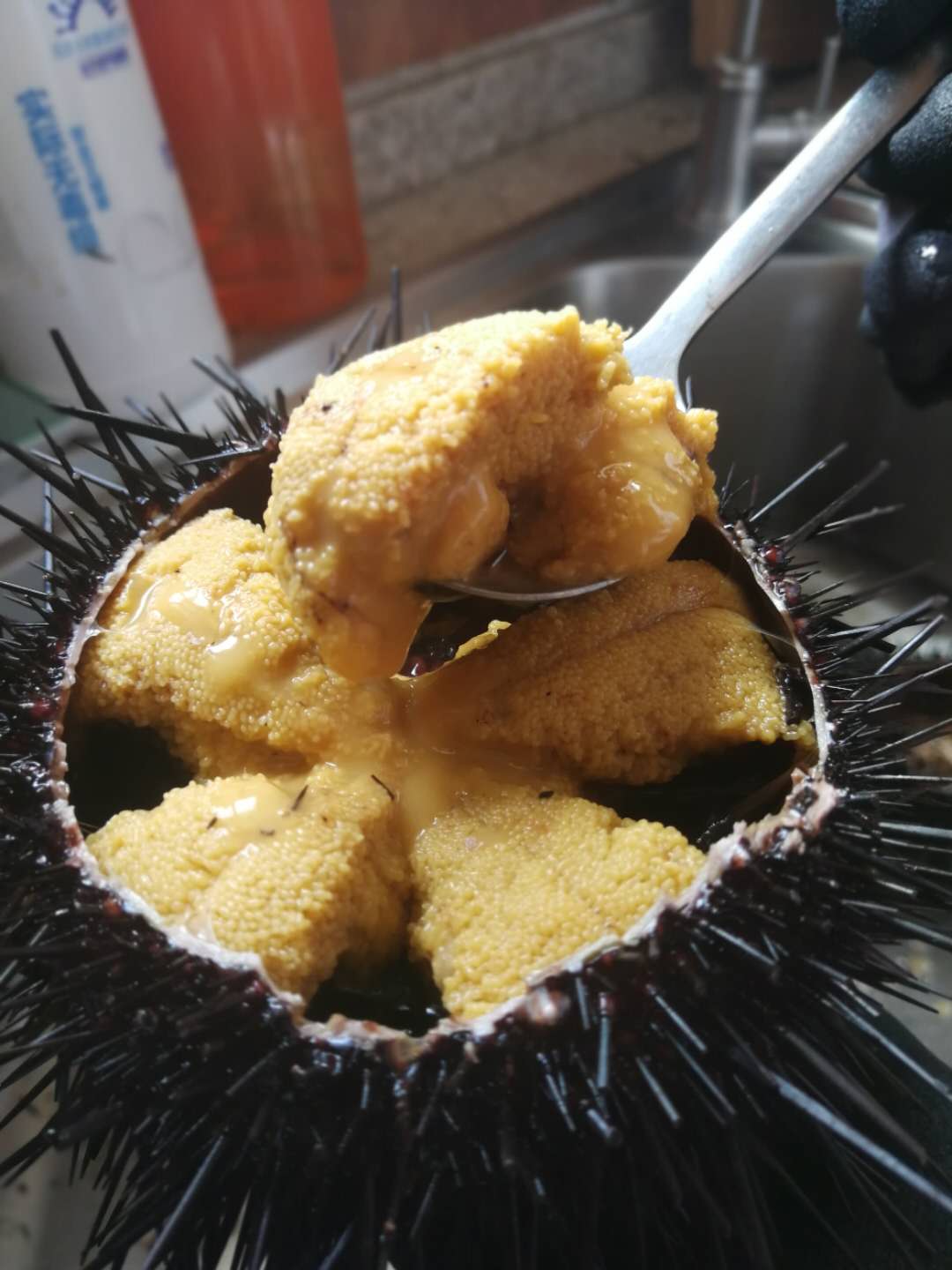 大连海鲜为什么那么便宜,大连海鲜是全国最好的吗