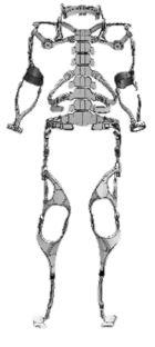 美军极寒特种作战服,2018年美国陆军特种作战部队装备