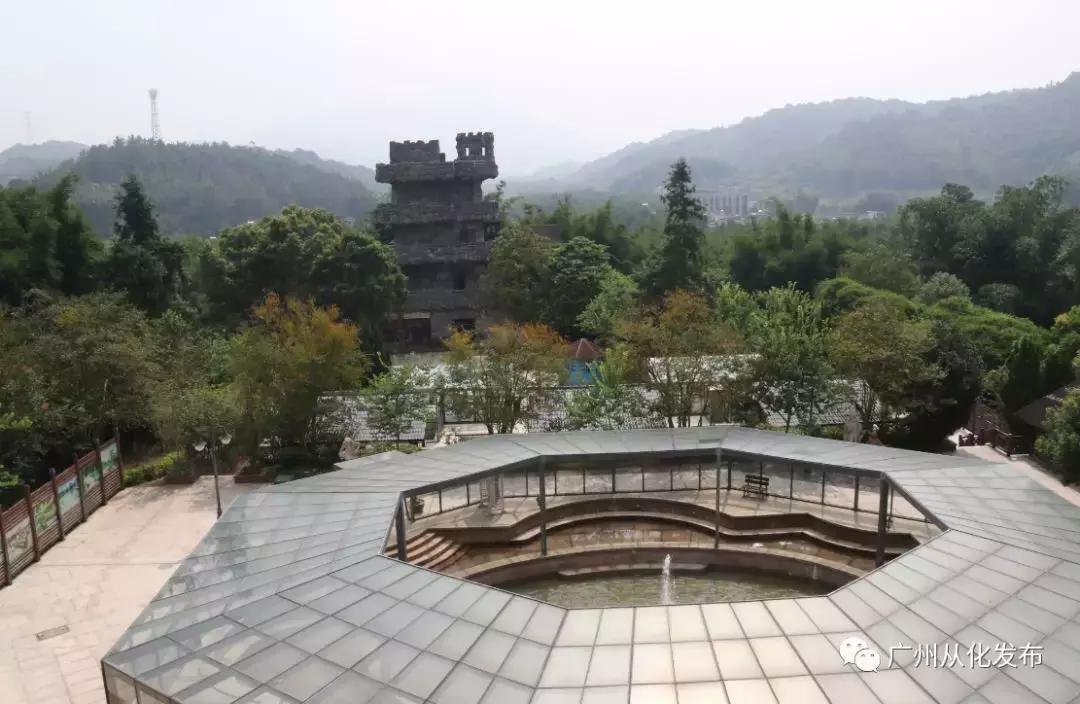 从化森林里的温泉,从化温泉度假详细旅游攻略