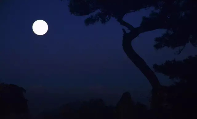 中秋赏月天涯共此时,天涯共此时赏月