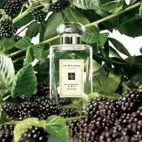 jomalone祖玛珑香水鼠尾草木香,jomalone祖玛珑香水白茶薄荷