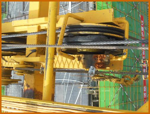 塔式起重机附着和顶升,简述塔式起重机顶升作业注意事项