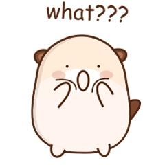 大闸蟹什么时候吃最肥,大闸蟹在几月份吃最肥美