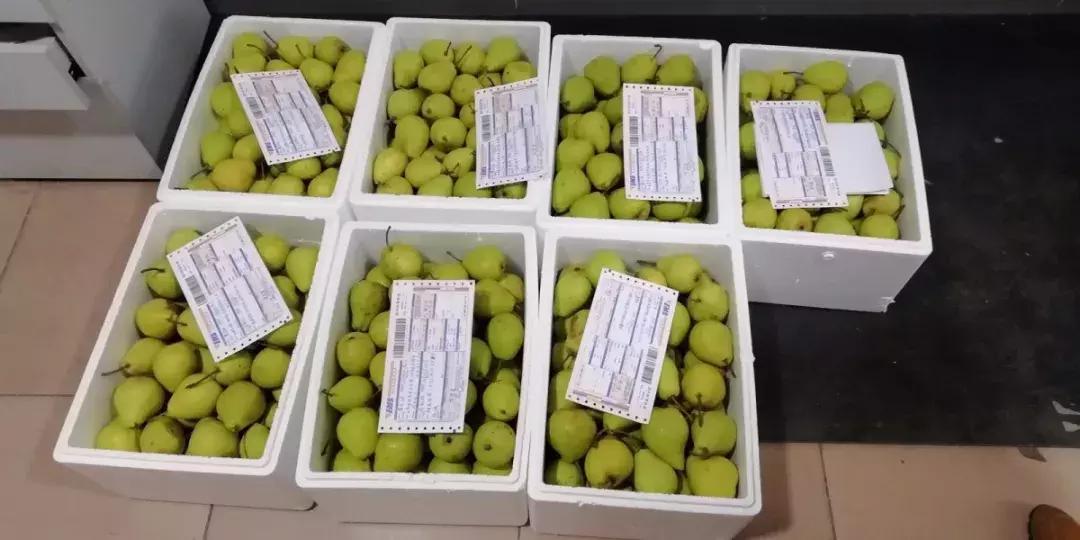 和政县三合镇尕新庄村,临夏州和政县三合镇尕新庄村