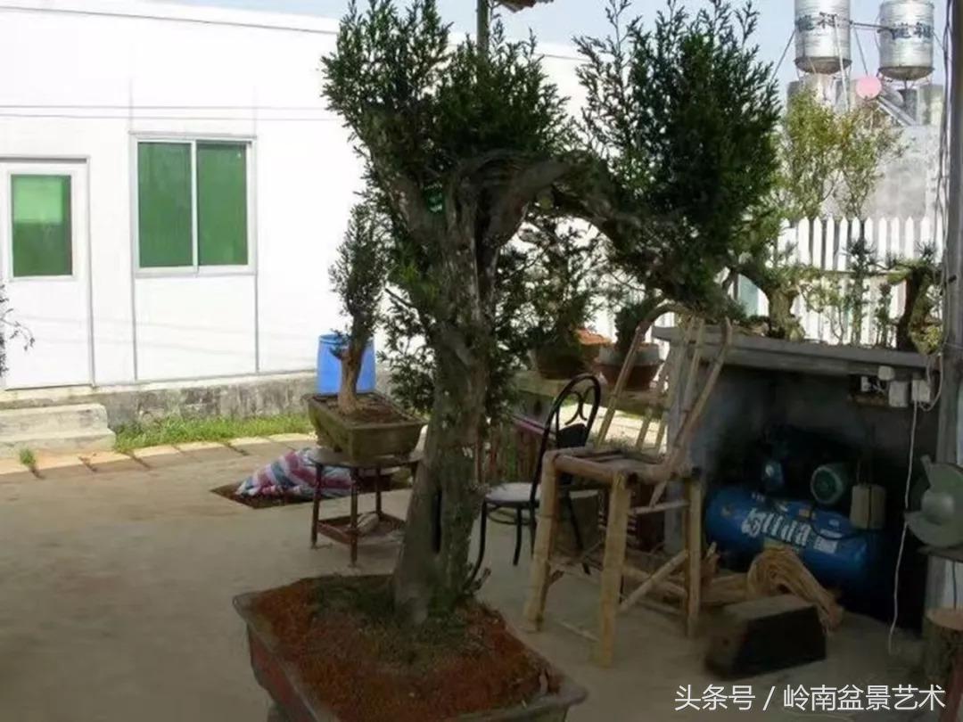 神来之笔绘画作品欣赏,神来之笔书法作品大全