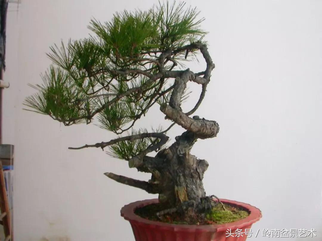 神来之笔绘画作品欣赏,神来之笔书法作品大全