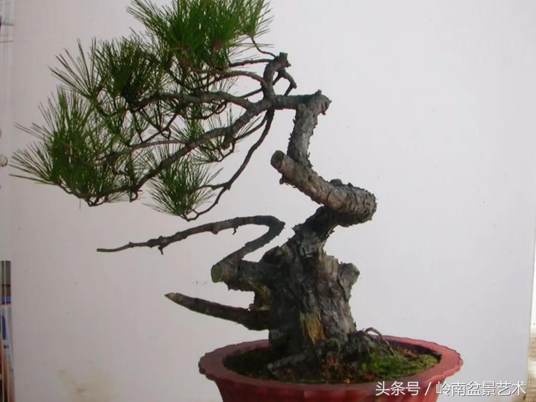 神来之笔绘画作品欣赏,神来之笔书法作品大全