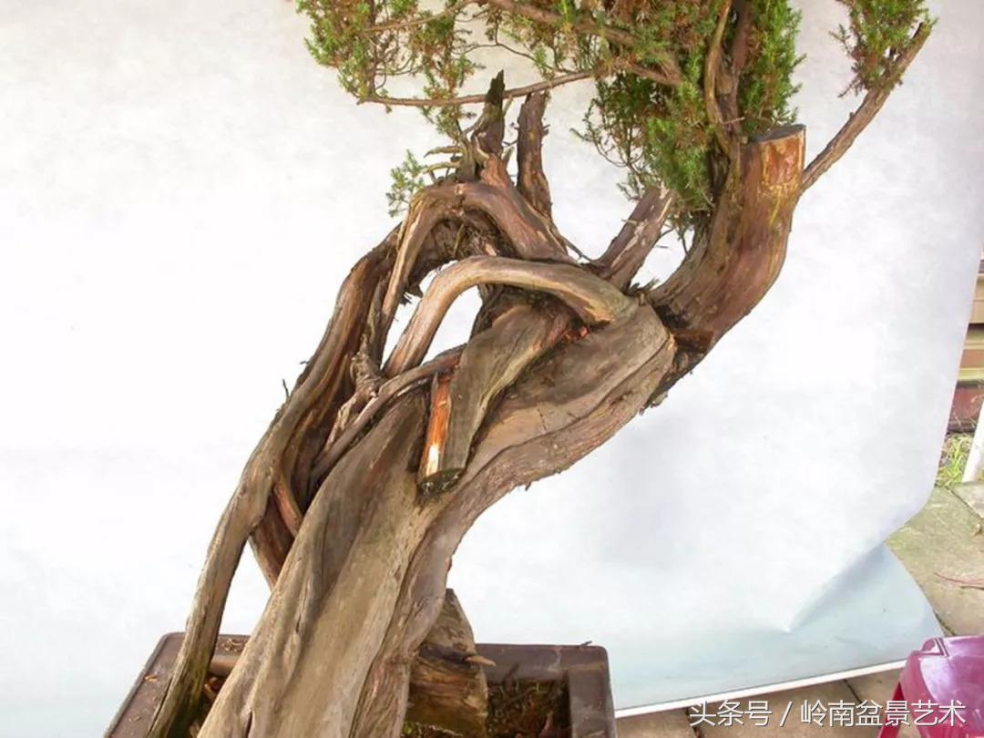 神来之笔绘画作品欣赏,神来之笔书法作品大全