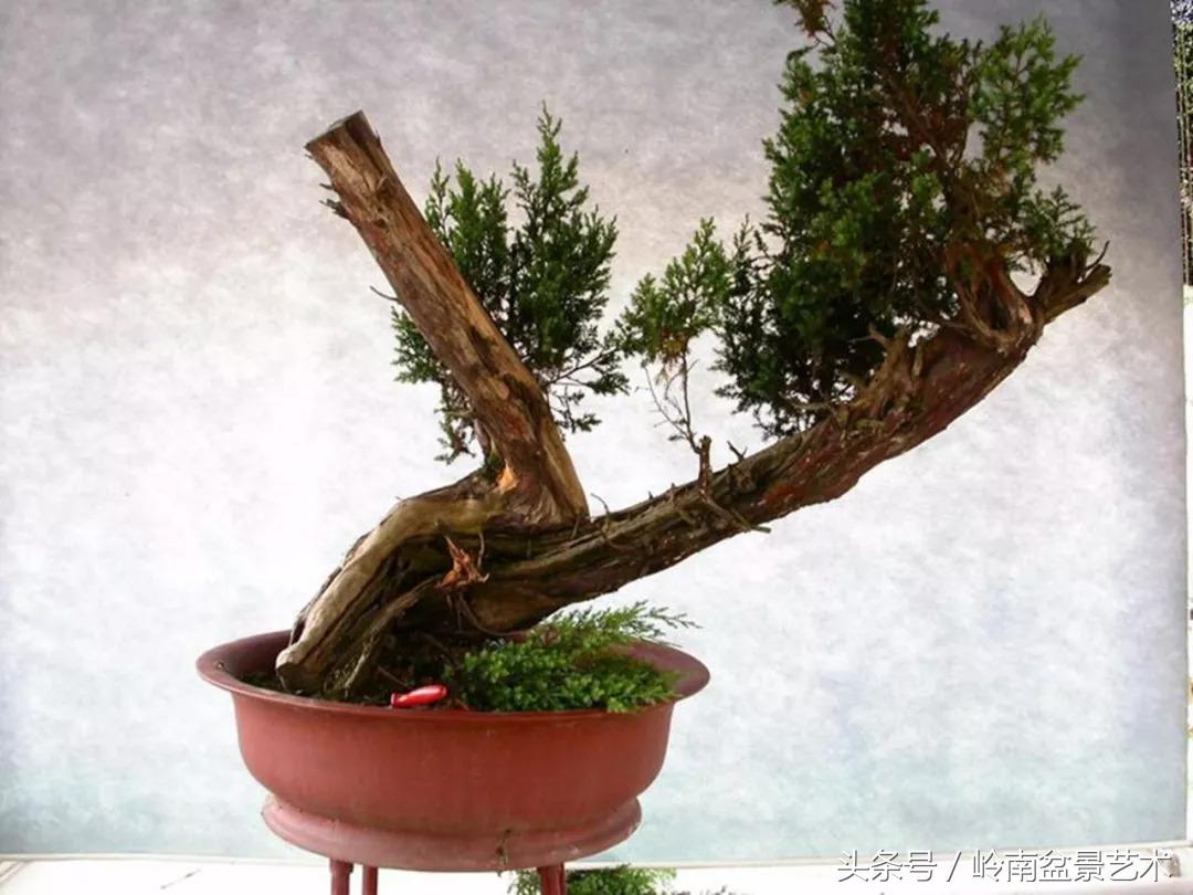 神来之笔绘画作品欣赏,神来之笔书法作品大全