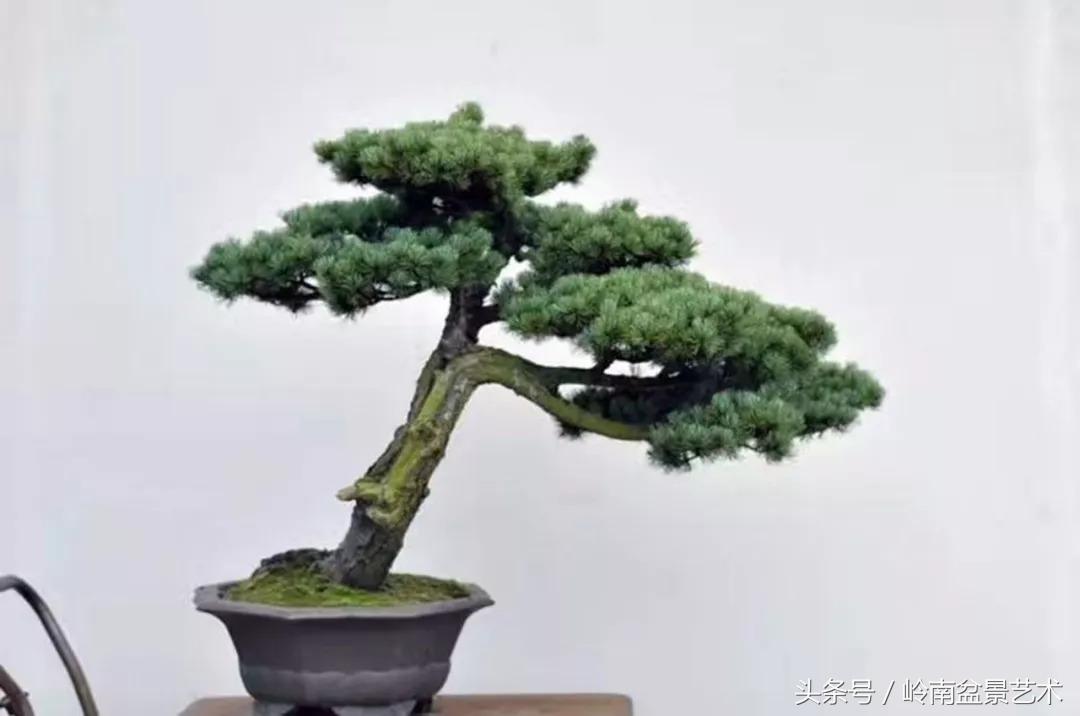 神来之笔绘画作品欣赏,神来之笔书法作品大全