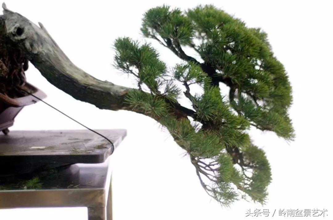 神来之笔绘画作品欣赏,神来之笔书法作品大全