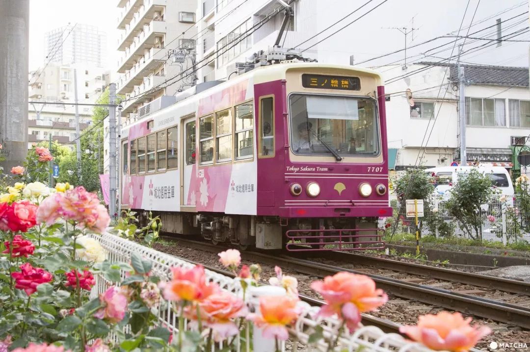 花火大会免费观赏位,花火大会观赏位