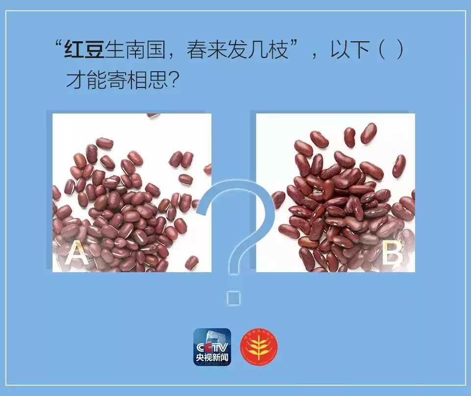 中国五谷丰收节,农民丰收节是哪五谷