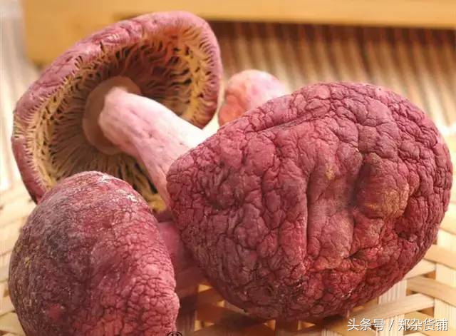 尤溪县枕头山红菇,明溪特级红菇