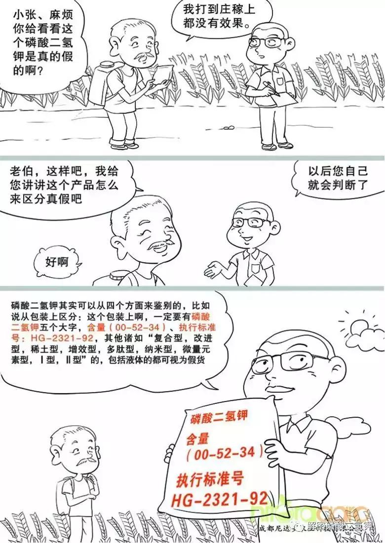 磷酸二氢钾用在叶菜效果如何,磷酸二氢钾对小麦怎样用高产