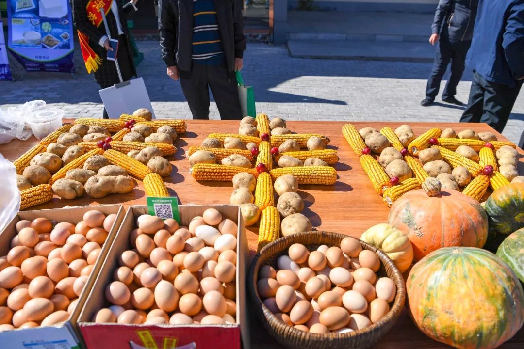 现场太火爆！看东胜区折家梁村如何庆丰收！