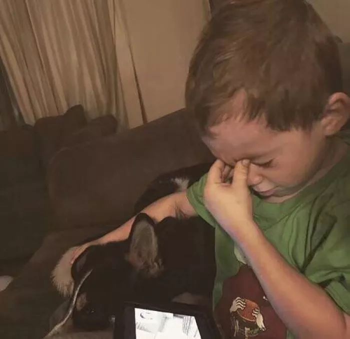 宇宙第一虐：首届法考客观题考试结束，60.4万人是被这样虐惨的！