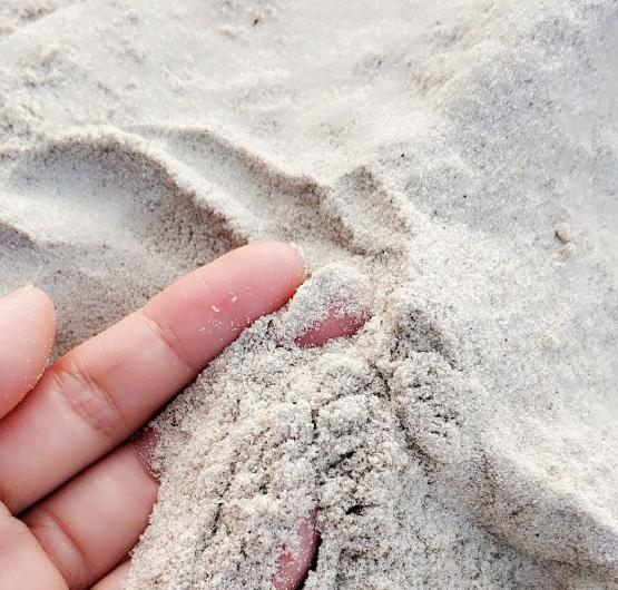 广西南宁北海桂林自由行攻略,桂林阳朔龙脊梯田北海旅游攻略