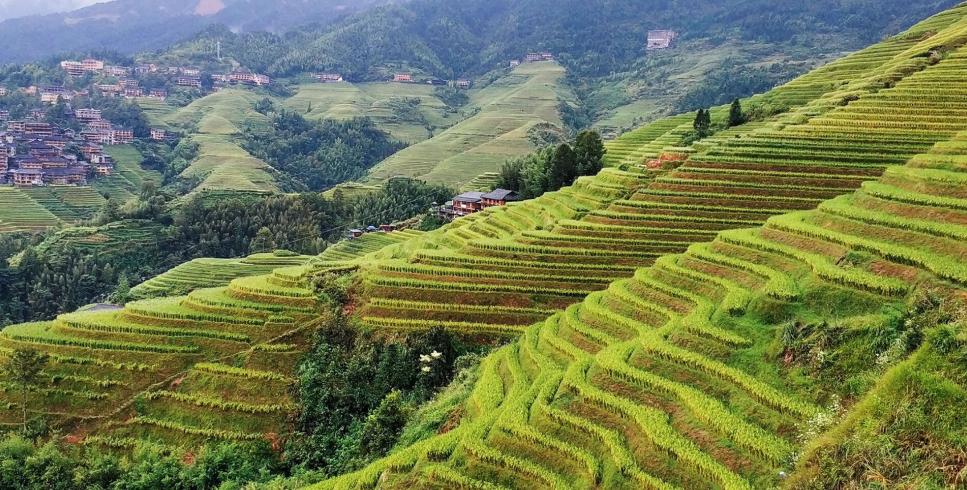 广西南宁北海桂林自由行攻略,桂林阳朔龙脊梯田北海旅游攻略