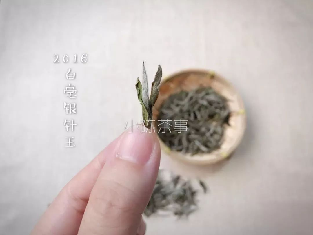 白茶轻微的受潮怎么处理,白茶受潮了怎么办