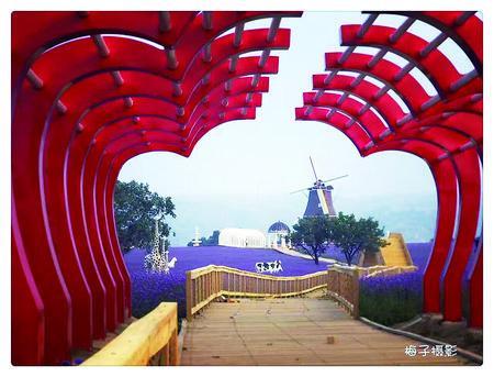 破茧成蝶之蝶变,破茧成蝶的蜕变