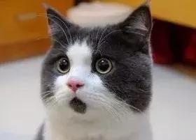 新生儿哪款奶瓶防呛奶防胀气最好,奶瓶防胀气防呛奶推荐