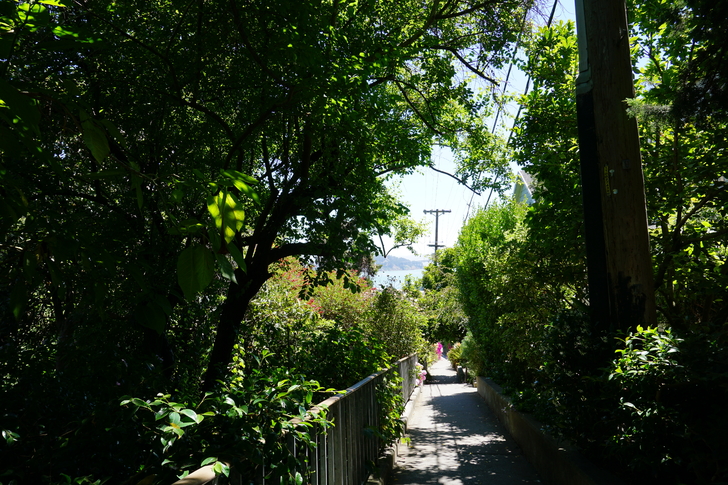 美国纽约自驾游最佳路线图,美国西部大环线自驾游攻略