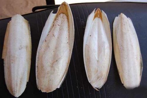 你知道如何区分章鱼墨鱼鱿鱼吗,章鱼墨鱼鱿鱼有什么区别