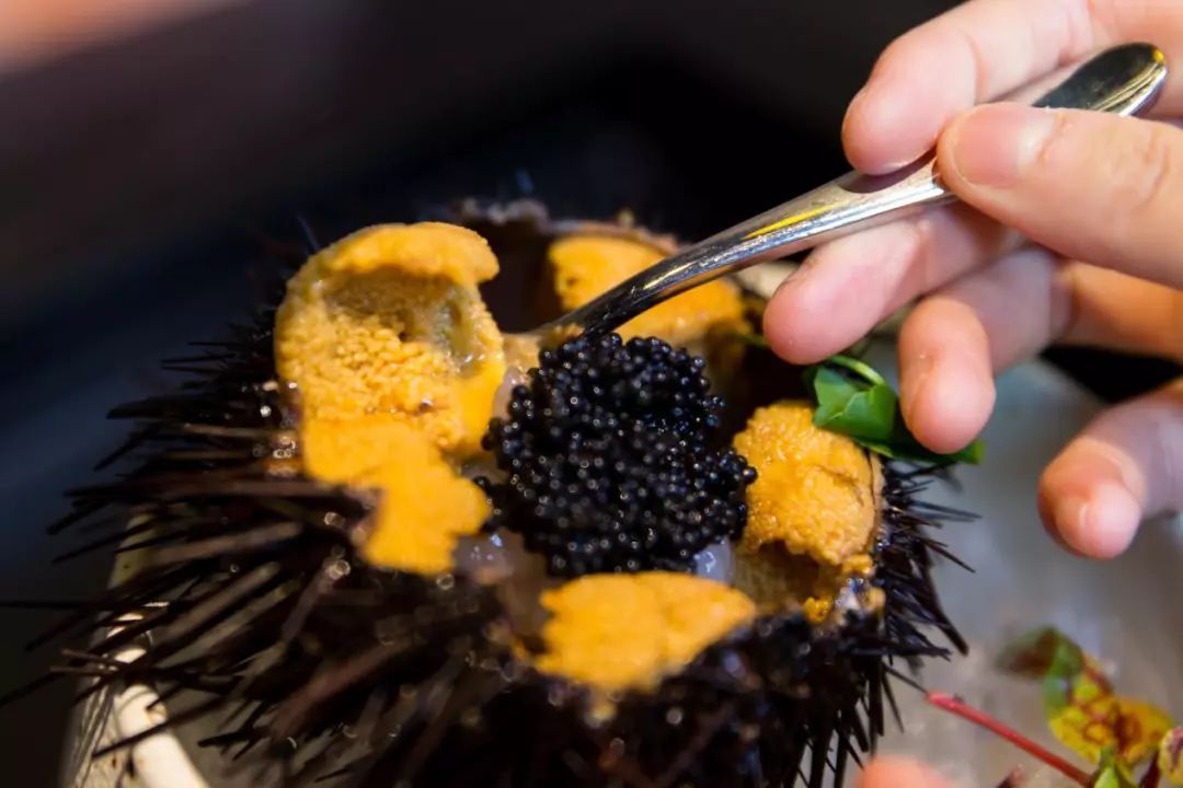 这只“大公鸡”一开业就王炸，5000瓶限量好酒碾压沙雕土豪！